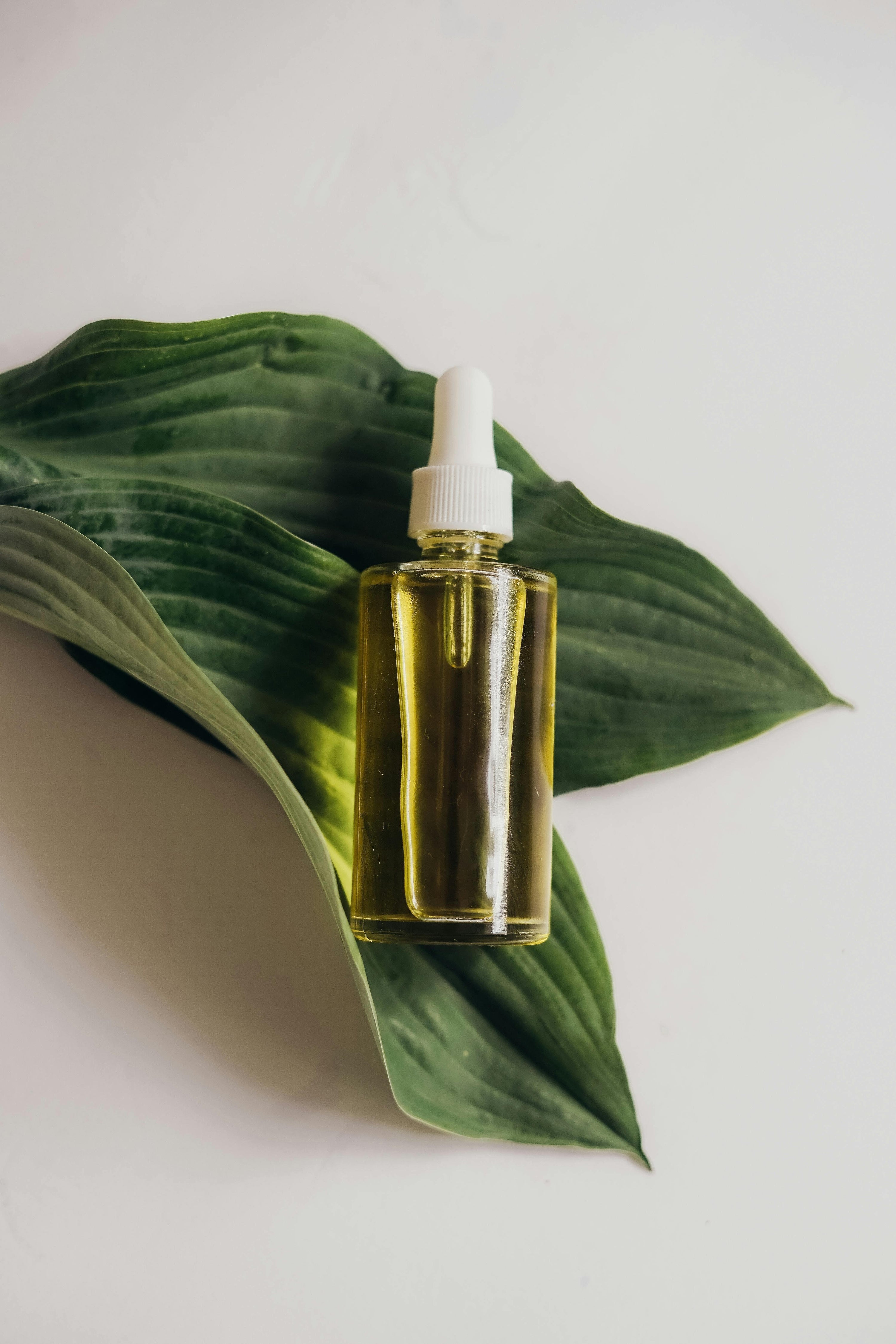 Serum displayed on green leaf